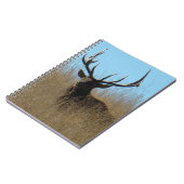 Carnet E26 Bull Elk Laying in the Weeds (Côté gauche)