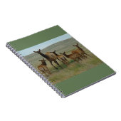 Carnet E44 Elcs et veaux de vache (Côté Droit)