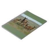 Carnet E44 Elcs et veaux de vache (Côté gauche)