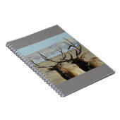 Carnet E45 Têtes d'élans taureaux (Côté Droit)