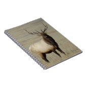 Carnet E46 Bull Elk Big Bull (Côté Droit)