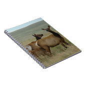 Carnet E61 Vache Wapiti et Jeune (Côté Droit)