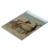 Carnet E61 Vache Wapiti et Jeune (Côté gauche)