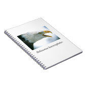 Carnet Eagle#1 (Côté Droit)