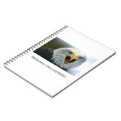 Carnet Eagle#2 (Côté gauche)