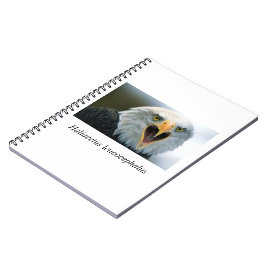 Carnet Eagle#2 (Côté gauche)
