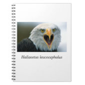 Carnet Eagle#2 (Devant)