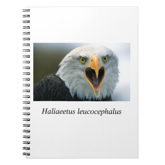 Carnet Eagle#2 (Devant)