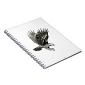 Carnet                                  Eagle by Light (Côté Droit)