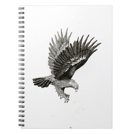 Carnet                                  Eagle by Light (Devant)