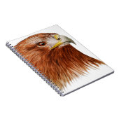 Carnet Eagle d'or 2011 (Côté Droit)