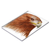 Carnet Eagle d'or 2011 (Côté gauche)