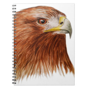 Carnet Eagle d'or 2011