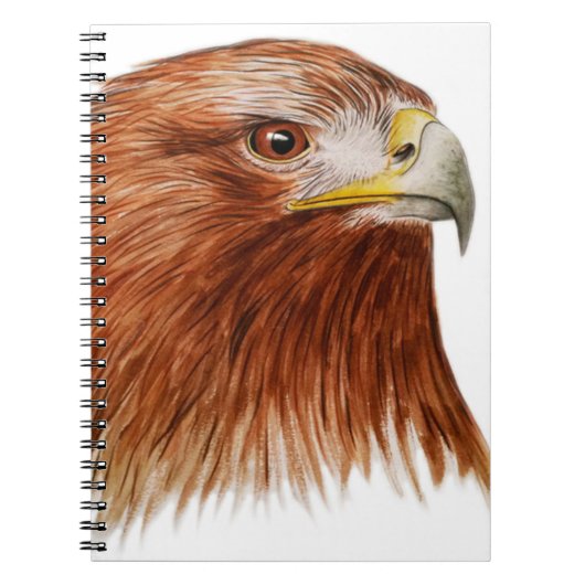 Carnet Eagle d'or 2011 (Devant)