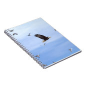 Carnet Eagle et voler de mouettes (Côté Droit)
