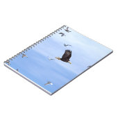 Carnet Eagle et voler de mouettes (Côté gauche)