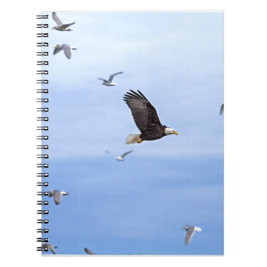 Carnet Eagle et voler de mouettes (Devant)