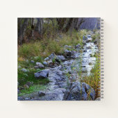 Carnet East Fork/Hayfork creek...... (Dos)