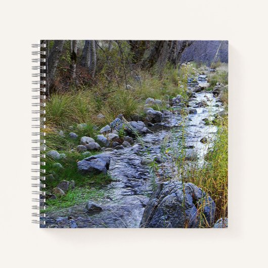 Carnet East Fork/Hayfork creek...... (Devant)