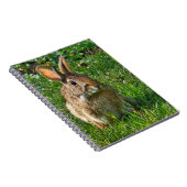 Carnet Eastern cottontail rabbit (Côté Droit)