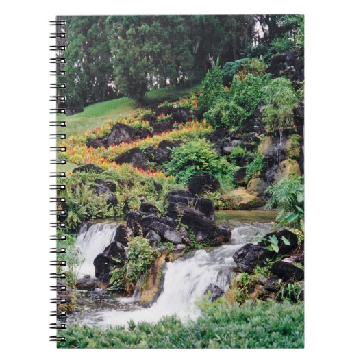 Carnet Eau de guérison (Devant)