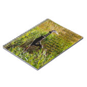 Carnet Eau vive John 4 Inspiration (Côté gauche)