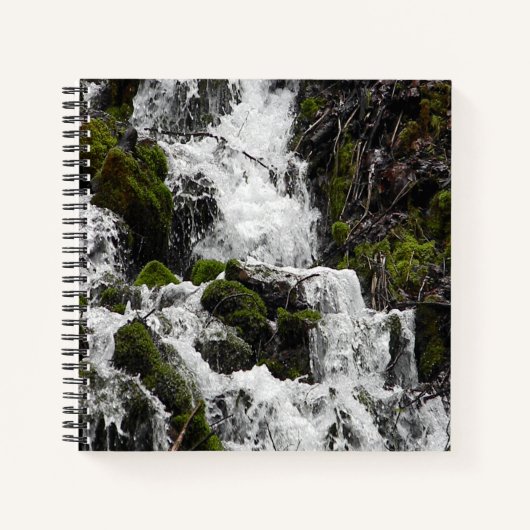 Carnet Eaux de précipitation...... (Devant)