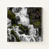 Carnet Eaux de précipitation...... (Dos)