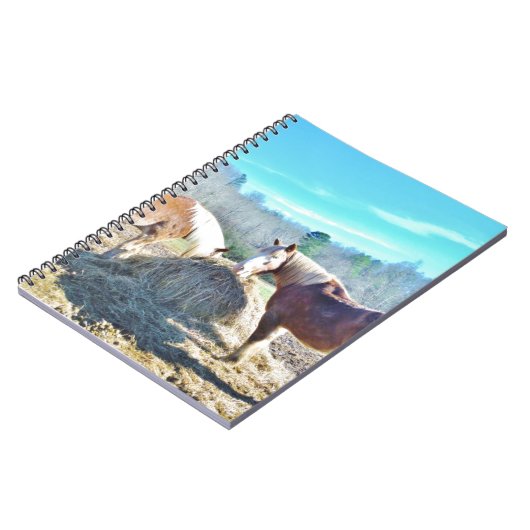 Carnet Ébauche secourue Chevaux mangeant foin (Côté gauche)