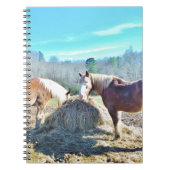 Carnet Ébauche secourue Chevaux mangeant foin (Devant)