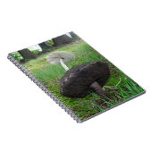 Carnet Ebony and Ivory Fungi Notebook (Côté Droit)