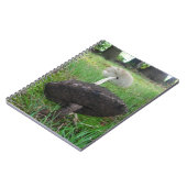 Carnet Ebony and Ivory Fungi Notebook (Côté gauche)