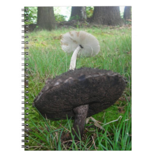 Carnet Ebony and Ivory Fungi Notebook