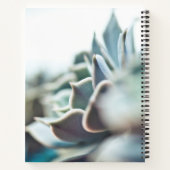 Carnet Echeveria succulent (Dos)