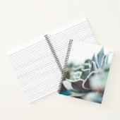 Carnet Echeveria succulent (Intérieur)