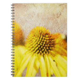 Carnet Echinacea Fleurs été