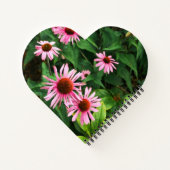 Carnet Echinacea Purpurea, Confleur pourpre (Dos)