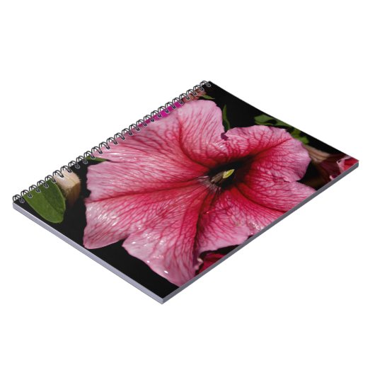 Carnet Éclosion florale (Côté gauche)