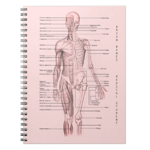 Carnet École personnalisée par diagramme Médicale huma