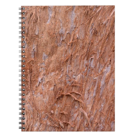 Carnet écorce d'arbre dans une forêt (Devant)