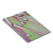 Carnet Écorce d'arbre Madrone Abstrait (Côté Droit)