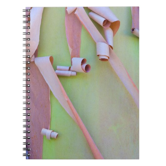 Carnet Écorce d'arbre Madrone Abstrait (Devant)
