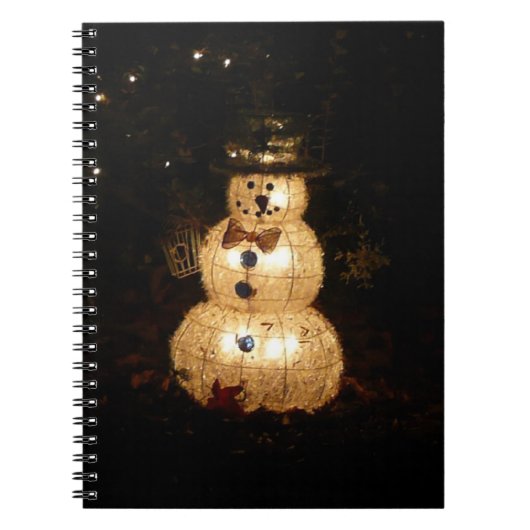 Carnet Écran Luminaire Snowman (Devant)