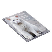 Carnet "Écrivez, ne parlez pas" Crabby Cats (Côté Droit)