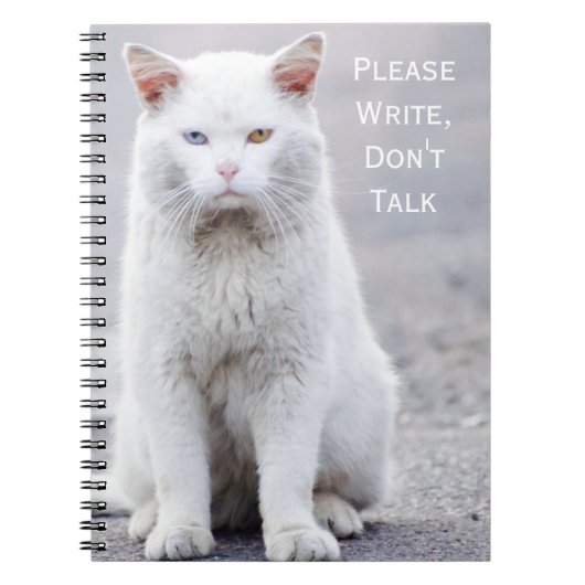Carnet "Écrivez, ne parlez pas" Crabby Cats (Devant)