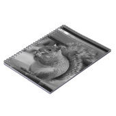 Carnet Écureuil (Côté gauche)