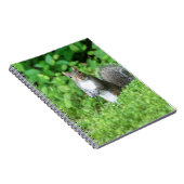 Carnet Écureuil (Côté Droit)