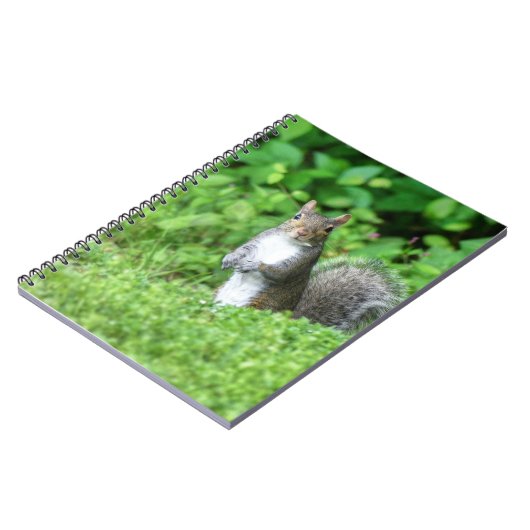 Carnet Écureuil (Côté gauche)