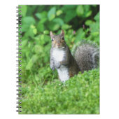 Carnet Écureuil (Devant)