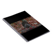 Carnet Écureuil (Côté Droit)